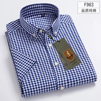 F963 Короткая модель