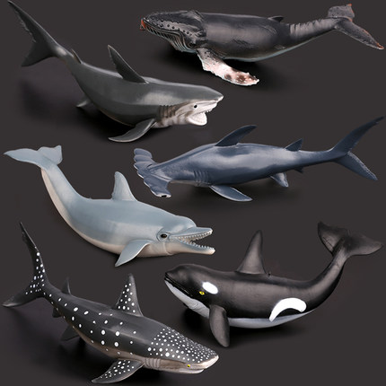软质大号仿真鲨鱼鲸鱼模型玩具海洋动物生物大白鲨座头鲸水族道具