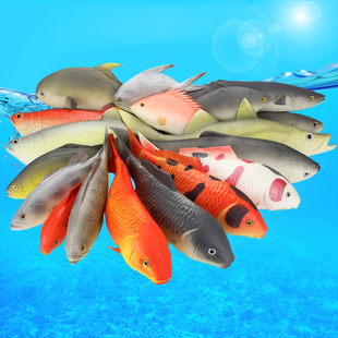 饰道具 仿真鱼模型热带鱼假红灰鲤鱼鲫鱼扁鱼玩具金枪鱼海洋动物装