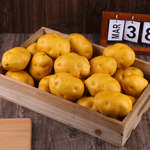 菡玄妙艺仿真土豆模型装饰道具