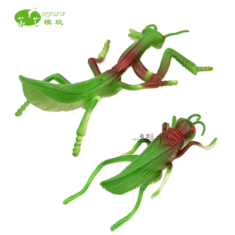 仿真蝗虫模型软胶材质螳螂昆虫蚂蚱儿童玩具早教教具