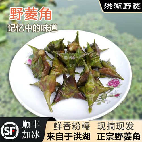四角两角洪湖野菱角新鲜顺丰包邮