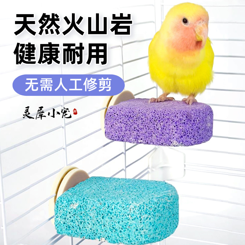 品质实惠耐用美观鹦鹉站台
