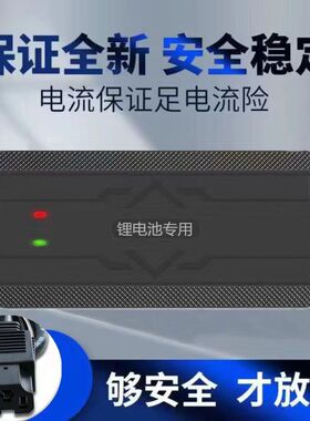 锂电池电动车充电器48v60v72v5A54.6V71.4V8A10A三元磷酸铁锂快充
