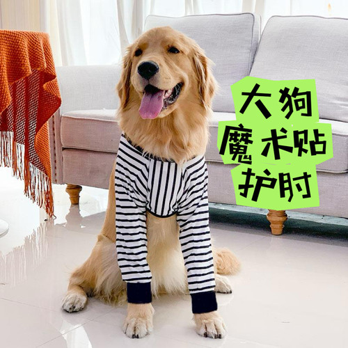 大狗狗护肘关节套边牧金毛拉布拉