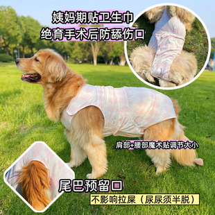 大狗生理裤包肚母狗经期中型犬月经裤大型犬术后服边牧绝育术后服
