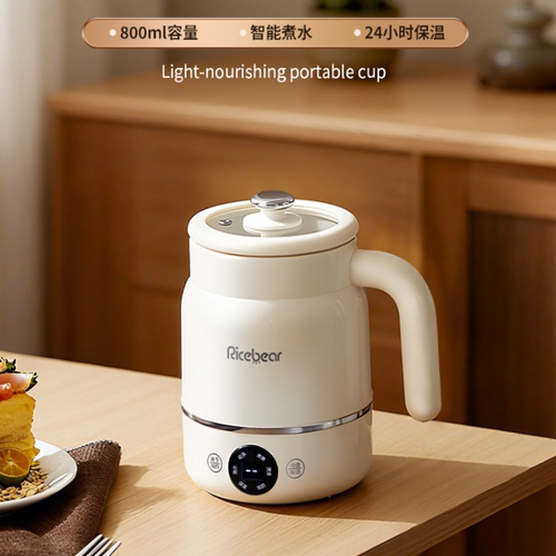 女士一人养生杯2025新养生壶