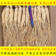 长白山足干人参干品实体店品质整枝正宗东北生晒白参泡酒500g 包邮