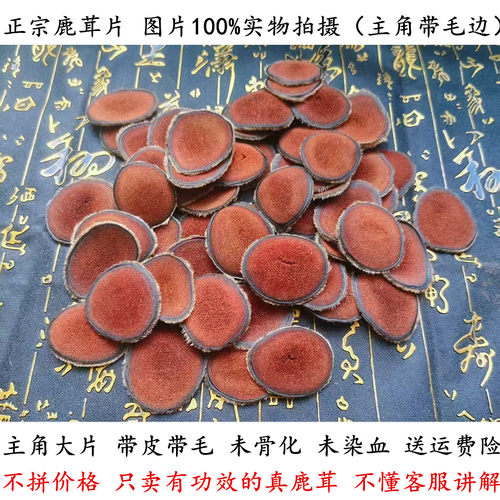 主角带毛真鹿茸片红粉未染血50克
