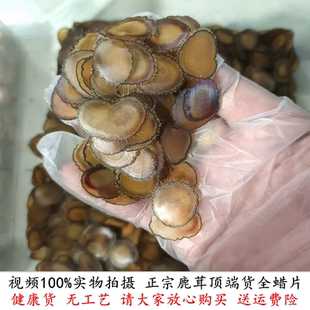 包邮 正宗鹿茸片全蜡片中药材东北吉林鹿场直销正品 泡酒煲汤入药5g