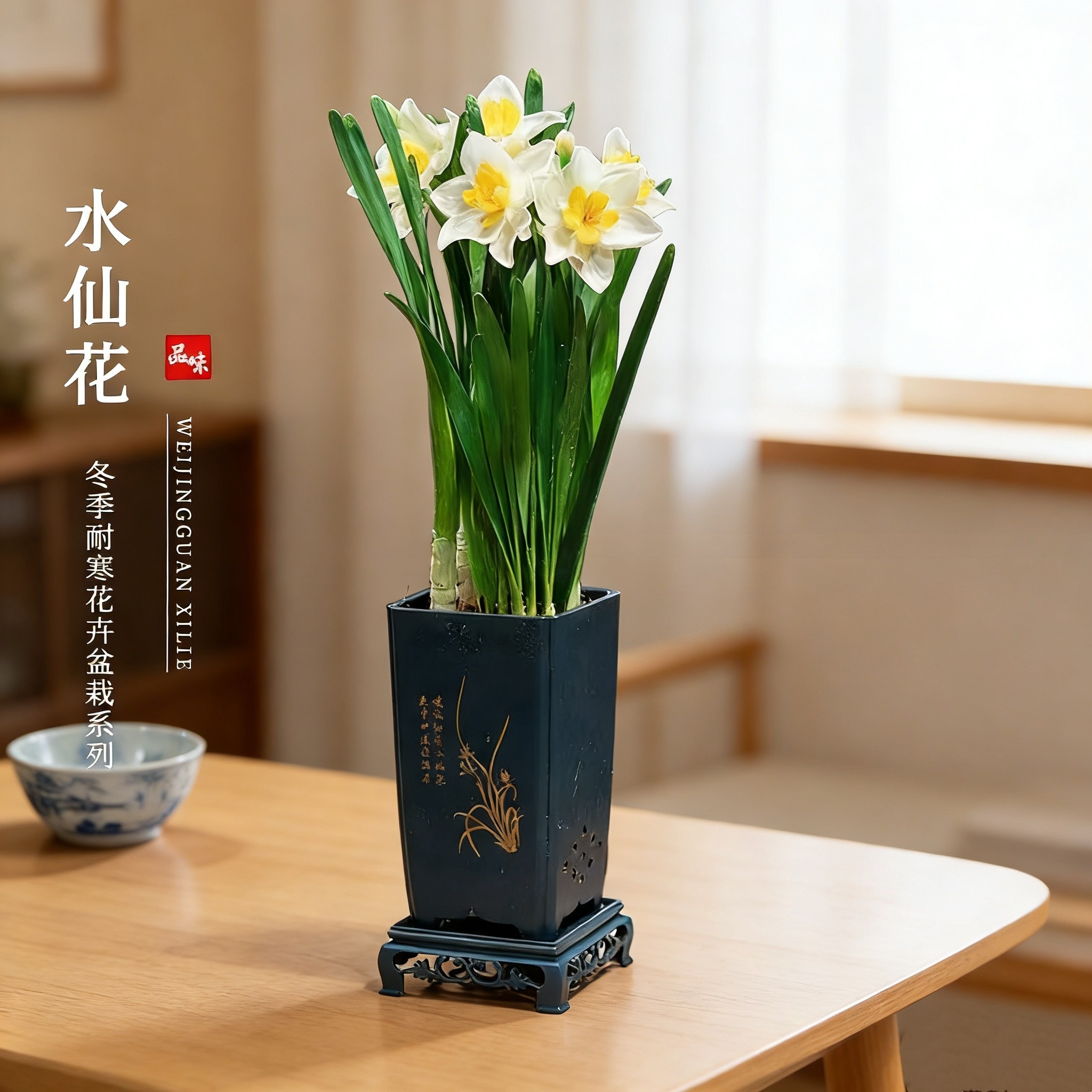 漳州水仙花水培植物室内冬季开花盆栽好养浓香型耐寒办公室