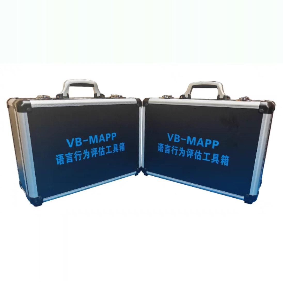 vb-mapp语言行为里程碑评估自闭症谱系障碍儿童的语言和社会技能