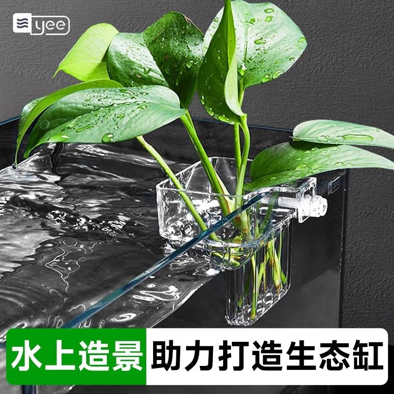 yee水培固定篮鱼缸挂壁式定植篮鱼缸造景装饰水草植物种植支架,宠物/宠物食品及用品,生态瓶/创意缸/微景缸,淘宝优惠券,粉丝福利购,淘宝优惠卷