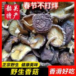 【韶关野生香菇】正宗罗坑特产野生香信干货始兴天然椴木蘑菇冬菇