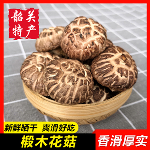 【椴木花菇】韶关特产半野生香菇干货粤北天然树头蘑菇农家山冬菇