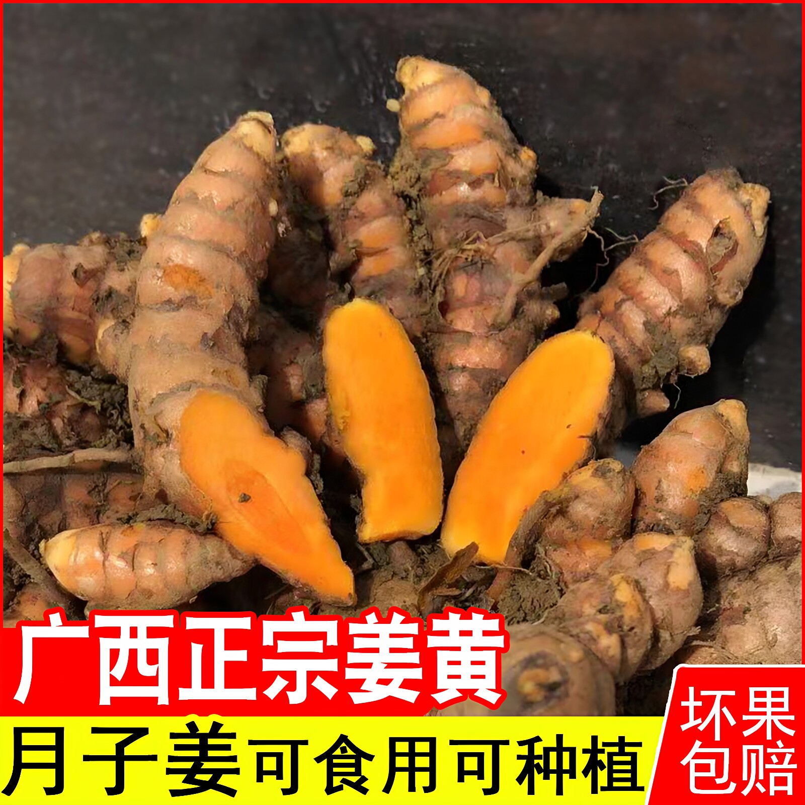 广西正宗野生姜黄食用新鲜产后