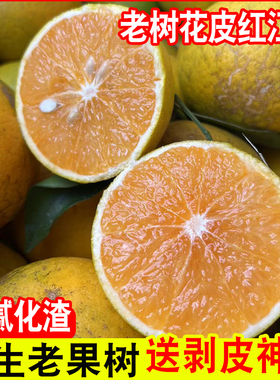 广西正宗花皮红江橙甜心红橙子手剥薄皮花斑丑橙新鲜孕妇水果10斤