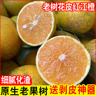 广西正宗花皮红江橙甜心红橙子手剥薄皮花斑丑橙新鲜孕妇水果10斤