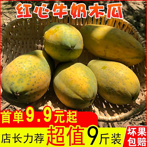 广西热带水果红心牛奶木瓜