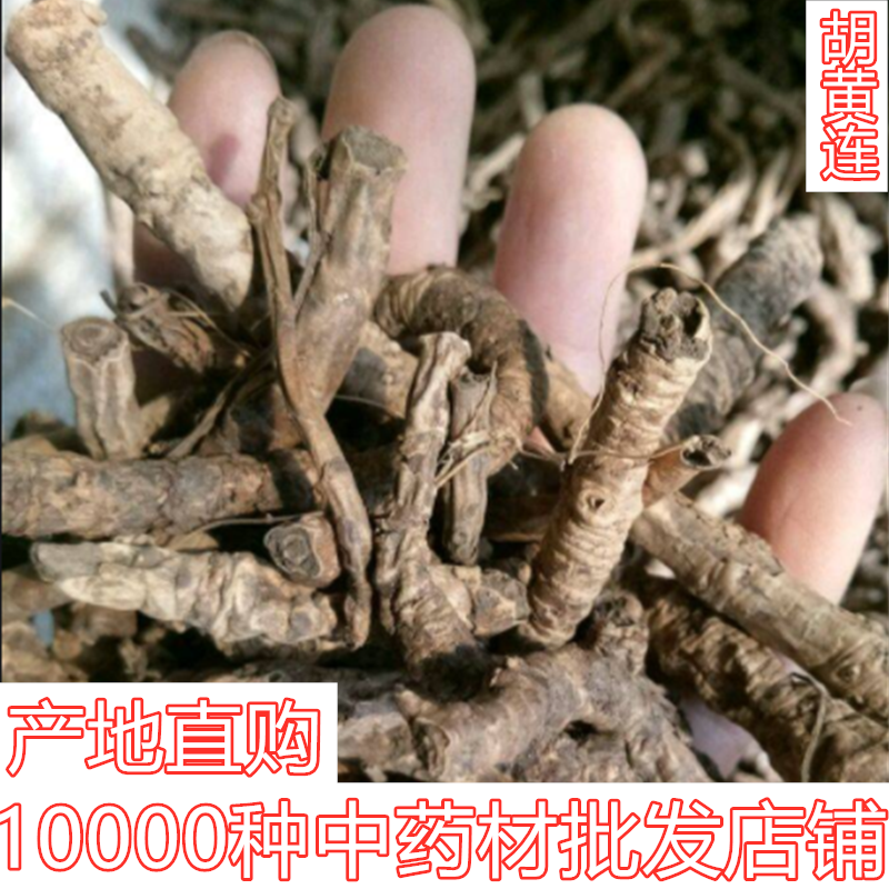 选装大条西藏胡黄连优质