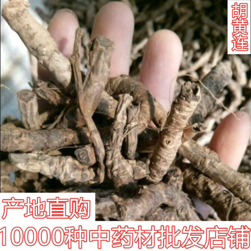 选装大条西藏胡黄连优质