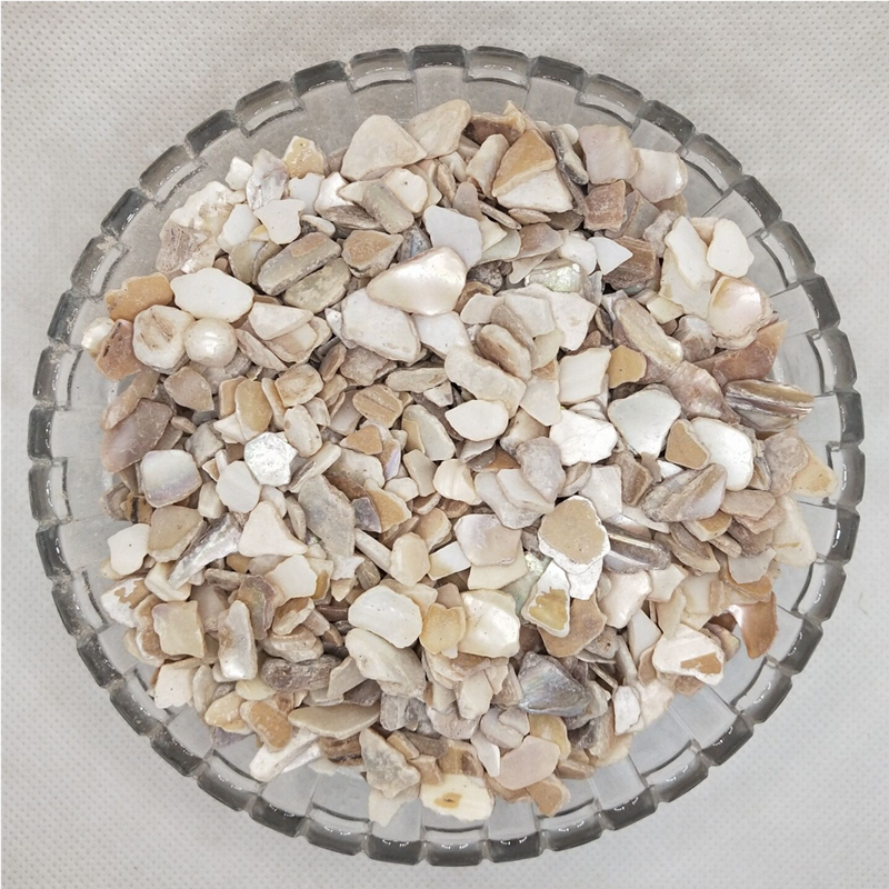 珍珠母 500克3元珍珠母 珍珠母