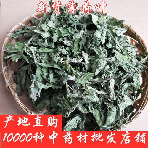 袋装薄荷叶泡水中药材薄荷叶