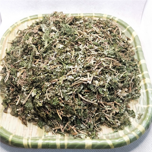 中药材石上柏500克 地柏草 地侧柏 金龙草广西石上柏深绿卷柏切段