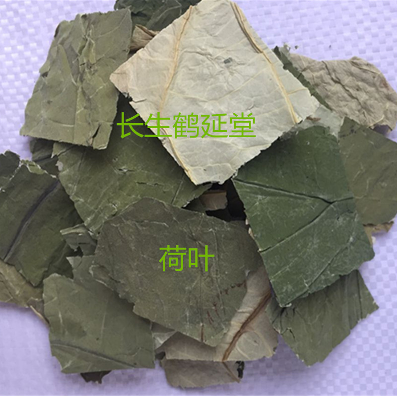 荷叶 藕叶 荷叶500克15元荷叶包邮