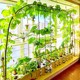 设备 无土栽培黄瓜水培蔬菜家庭室内阳台种菜神器智能箱自动管道式