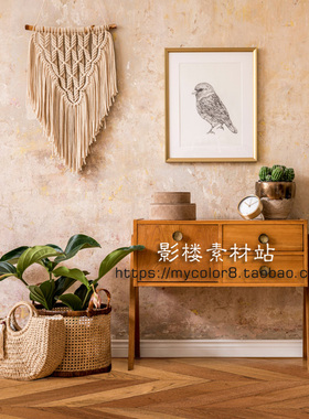 mycolor8 婚纱影楼摄影背景 服装 ins主播直播北欧素材大图20-399