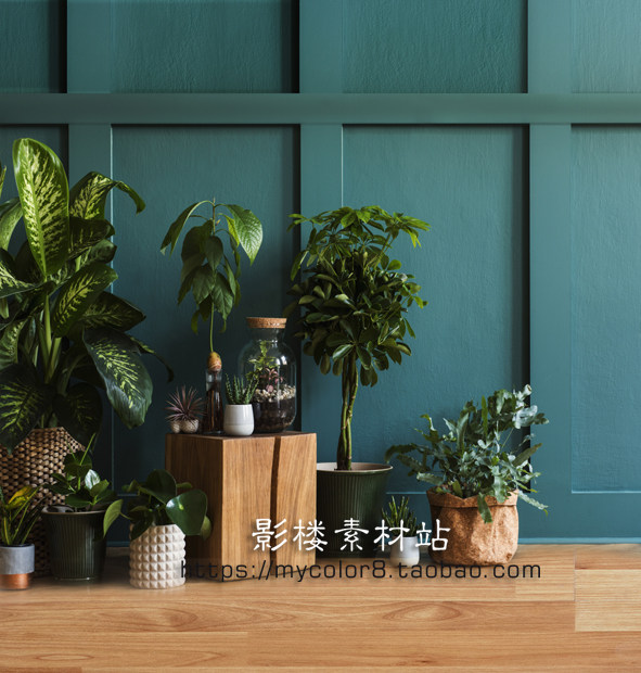 mycolor8 婚纱影楼摄影背景 服装 ins主播直播北欧素材大图20-424