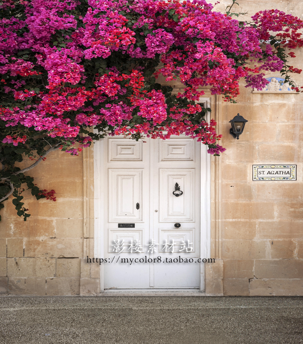 mycolor8 PS 婚纱 影楼摄影背景 街景 花墙 素材图片大图20-253