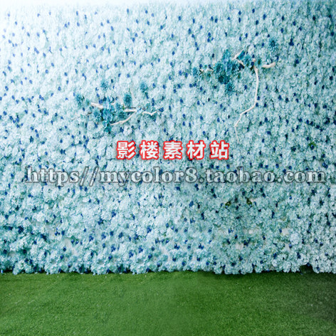 mycolor8 婚纱 影楼摄影背景 高清 韩式主题 花墙 图片大图17-130