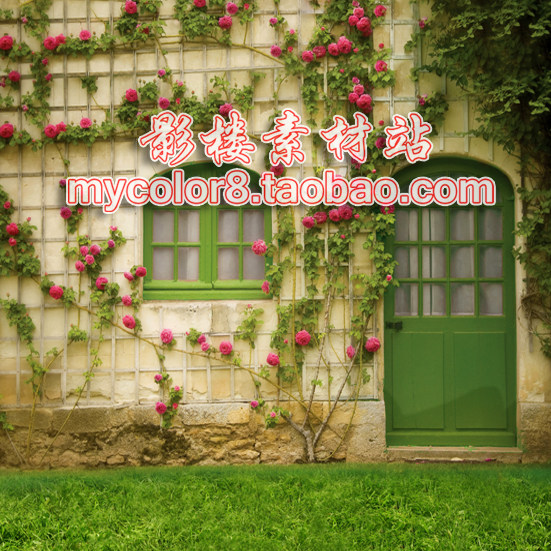 mycolor8 ps 婚纱 影楼摄影背景花墙 背景 素材图片16-351
