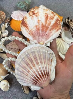 天然贝壳书手工diy制作贝壳手账本生日礼物礼品双面贝壳笔记本
