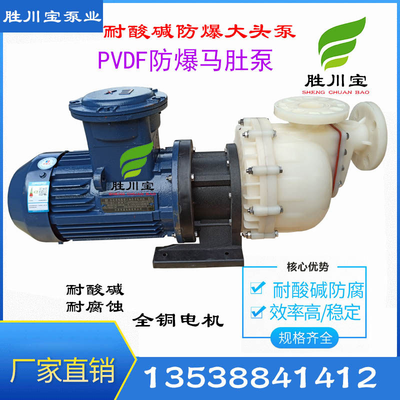 胜川宝耐高温PVDF自吸泵防爆式大头泵化工泵卧式四氟自吸泵马肚泵