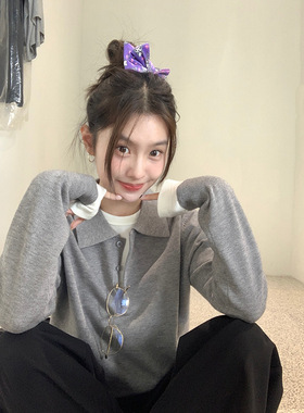 EAL减龄刺绣Polo领针织衫女秋季新款韩版慵懒风宽松翻领长袖上衣