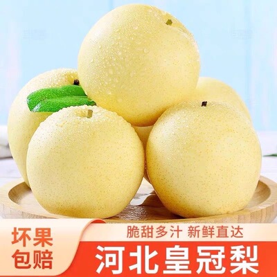 河北皇冠梨正宗包邮梨子新鲜一整箱应季水果薄皮脆甜多汁产地直发