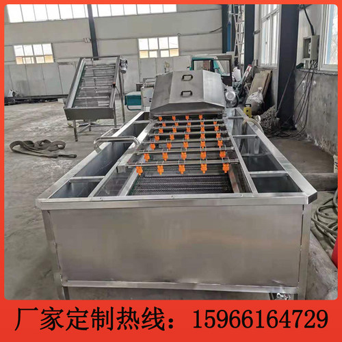 全自动果蔬气泡清洗机净菜清洗机