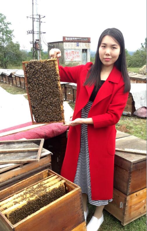 2019年新野山花蜂蜜 纯天然特色蜂蜜—湖北随州在类目 传统滋补营养品, 蜂蜜中 - 来自Buy2taobao.com提供专业的淘宝代购服务
