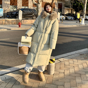 现货  韩版大棉被羽绒服（90绒）浙宝B121-货号23122-P355-K488图片