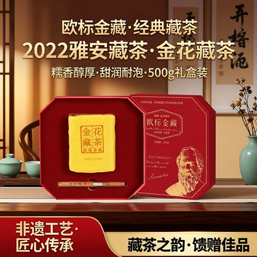 糯香藏茶2022欧标金花藏茶黑茶