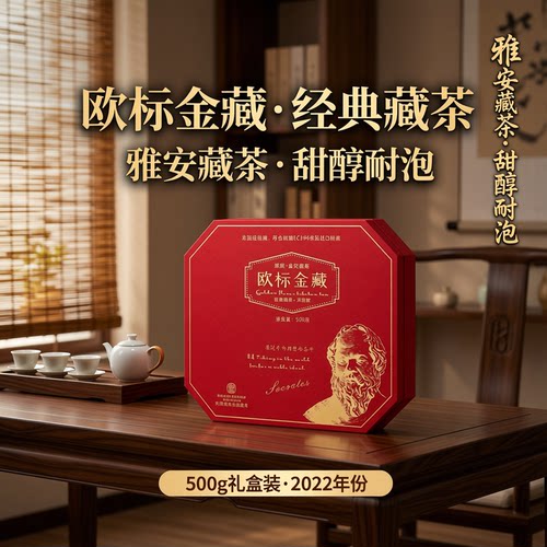 糯香藏茶2022欧标金花藏茶黑茶