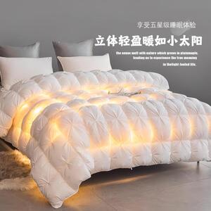 全棉羽绒被95白鹅绒春秋被加厚保暖冬被高档被芯单双人被子学生被