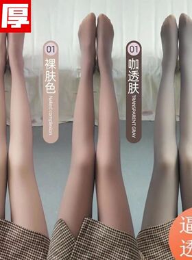 2026460g真透肤打底裤空姐灰锦纶奶咖真透肉加绒加厚外穿连裤袜一