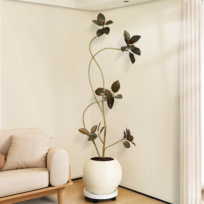 海落端虹景品黑金刚橡皮仿真绿植高轻奢室内假花客厅qcj大型地树