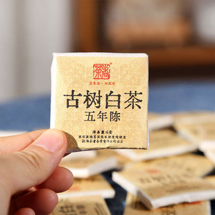2023年 五年陈云南曼松古树白茶 方砖 6克/片