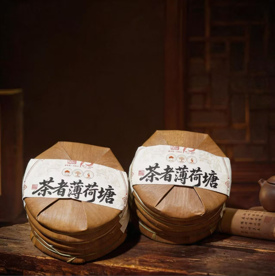 【整箱批发】茶者2026年薄荷塘古树云南普洱茶生茶送礼200克*10片
