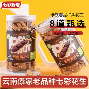 云南黑花生普洱新货晒干花生七彩野地带壳黑皮花生278g罐装